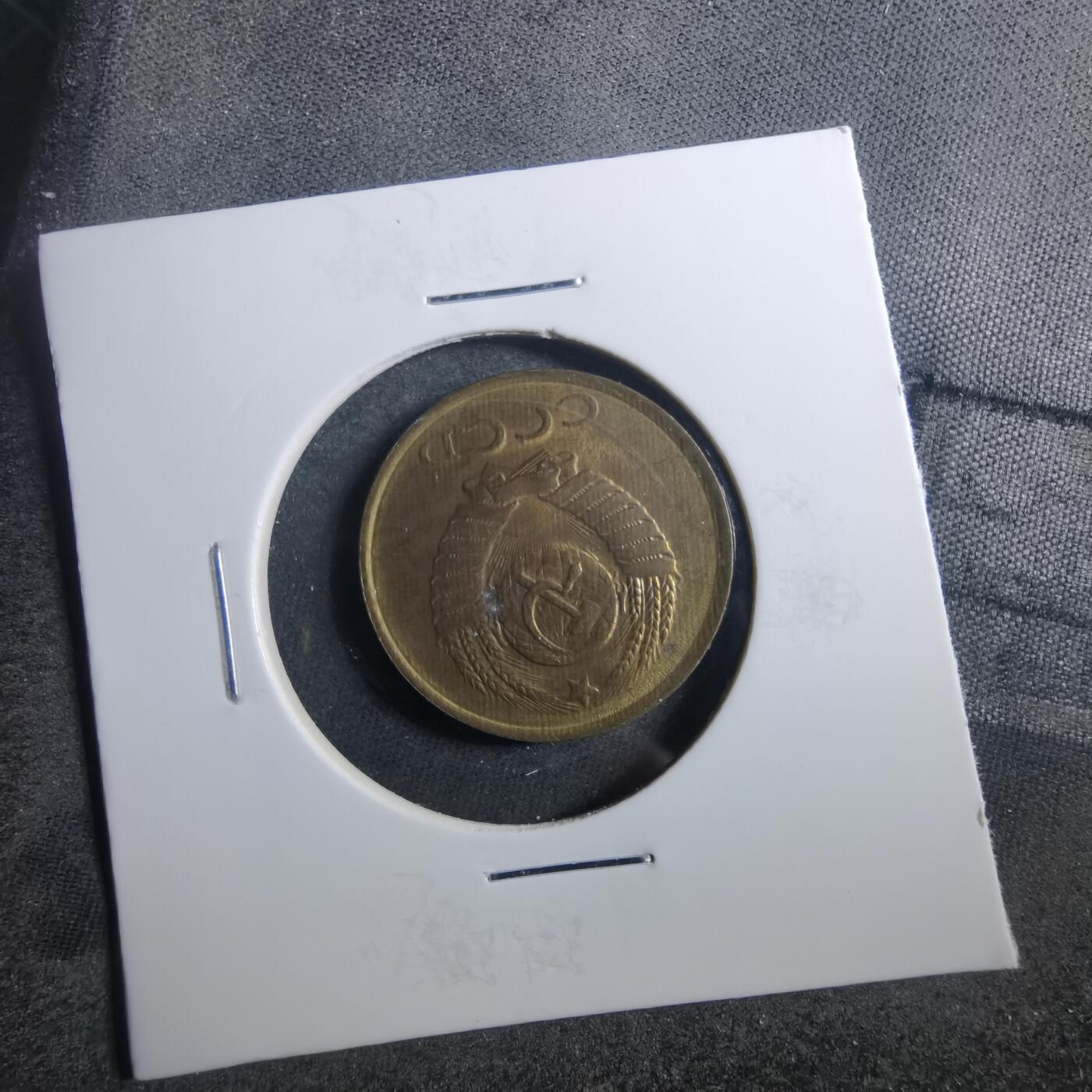 沼泽如烟--第899场