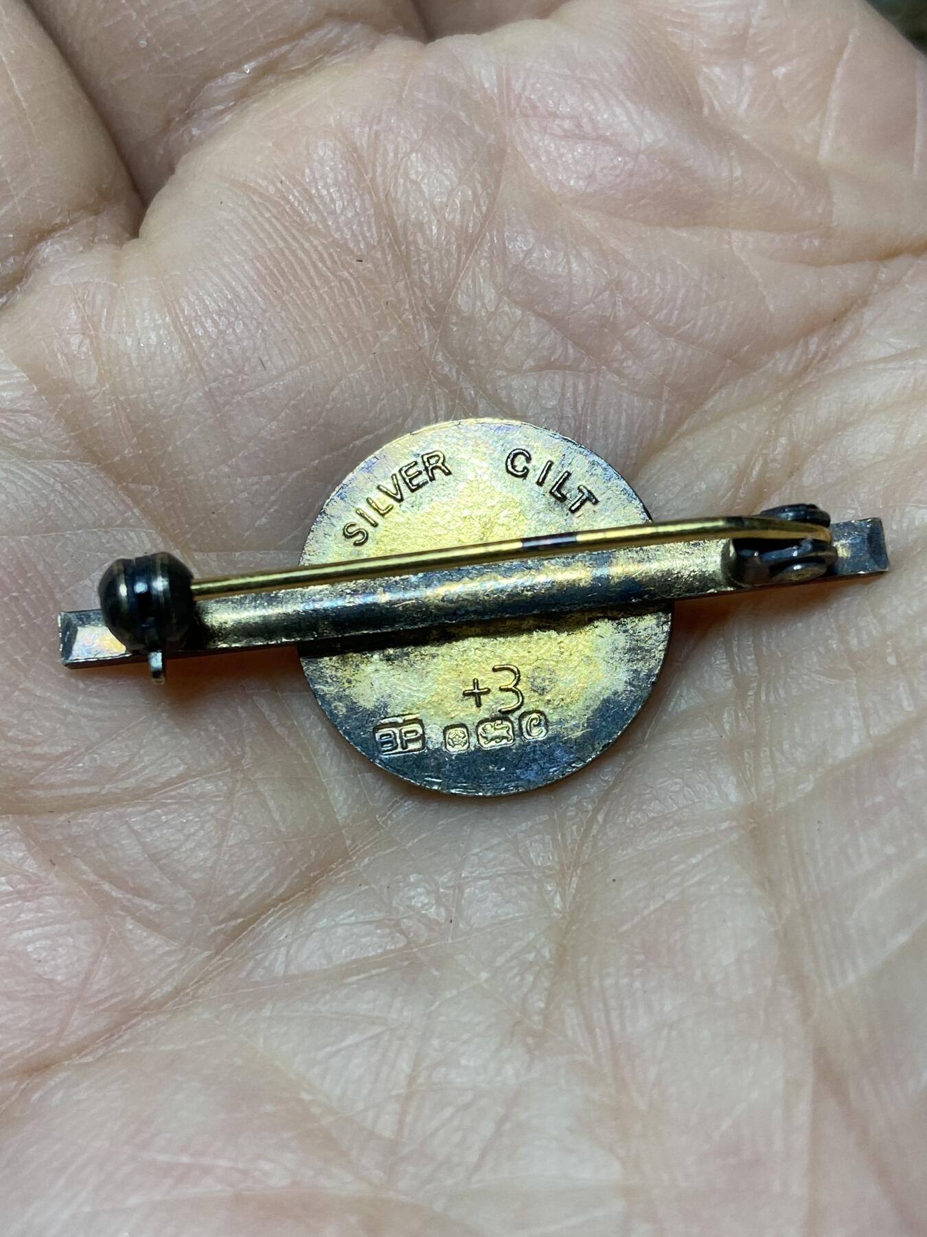 2025年第一百二十七场(总第一百五十三场）外国好品章牌、散币(免佣金) 珐琅彩–献血者银制胸针，重5.10克