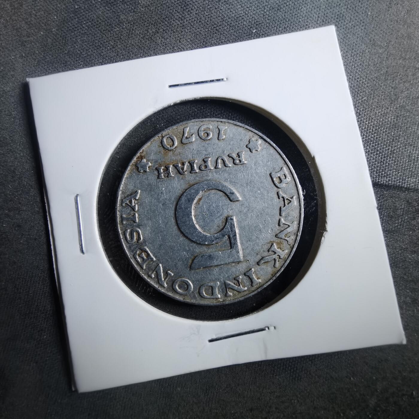 沼泽如烟--第899场