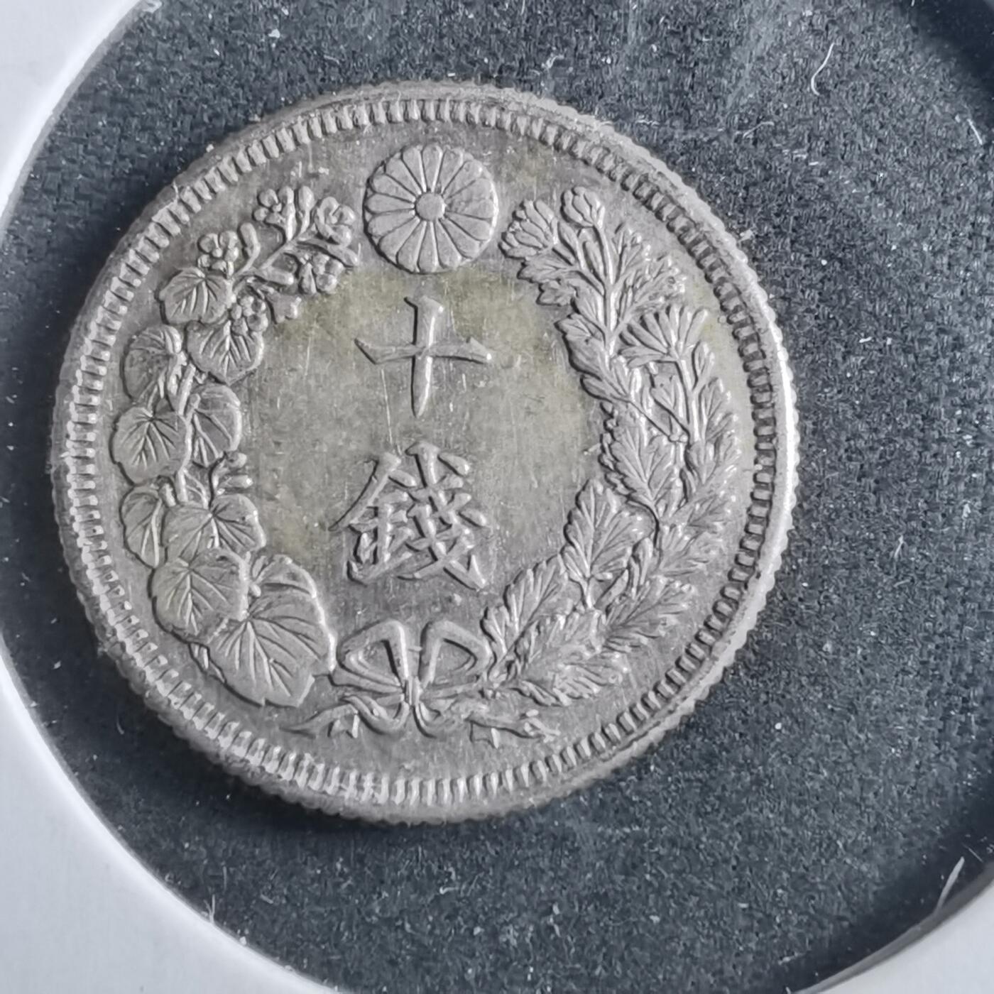 沼泽如烟--第899场