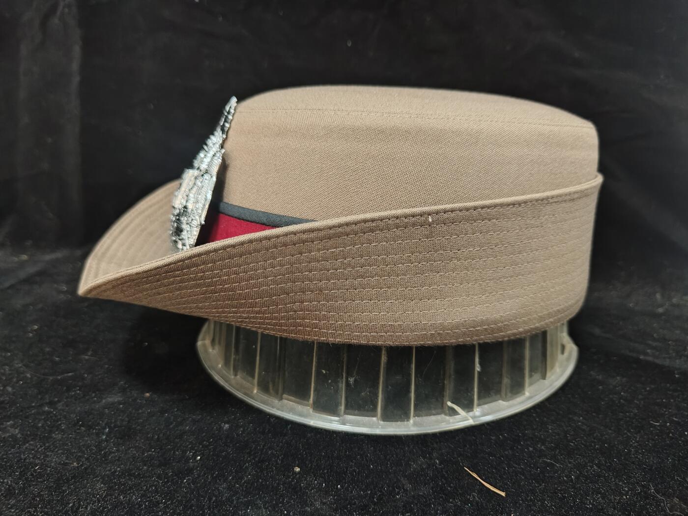 0元起拍勋章 第309期 咸鱼国勋章拍卖专场 11月12日（周三）下午6：00开始