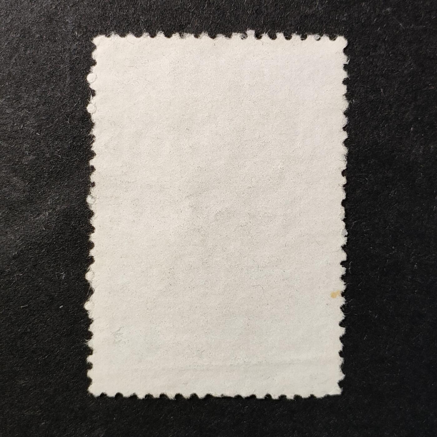 嘉禾收藏    【第375期】            无佣金、可寄存、满30元包邮 巴西邮票，1958年联合国《人权宣言》发表10周年邮票1全