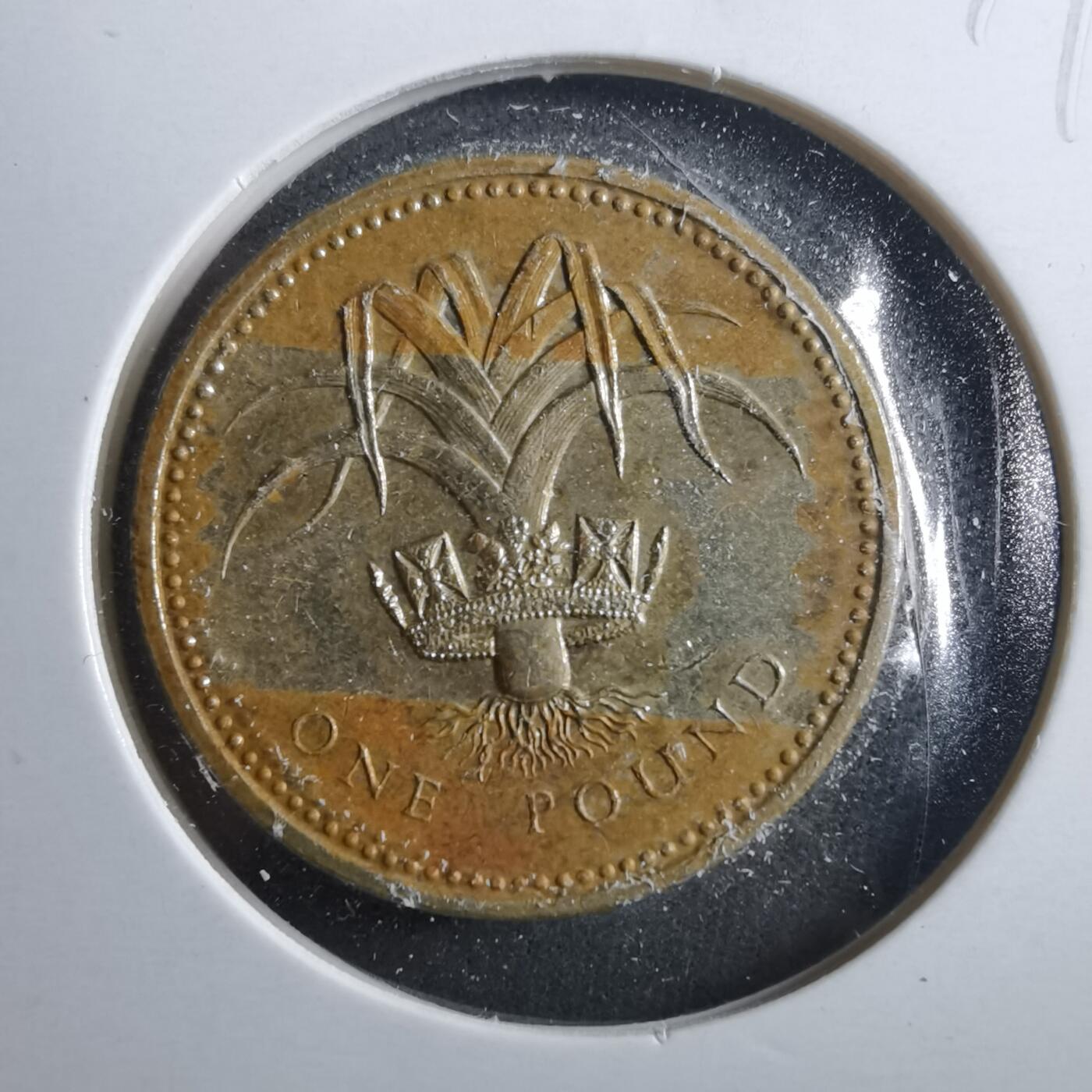 沼泽如烟--第899场 英国1985年一磅