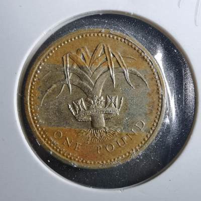 沼泽如烟--第899场 - 英国1985年一磅