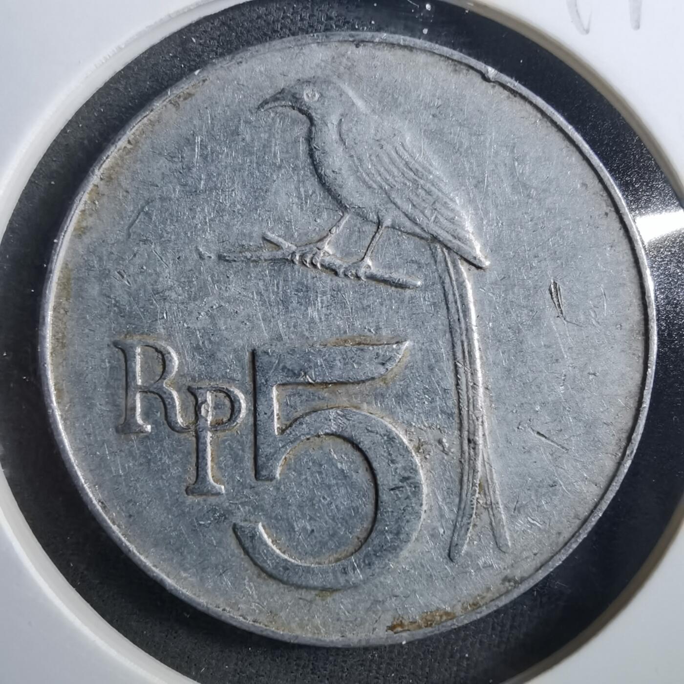 沼泽如烟--第899场