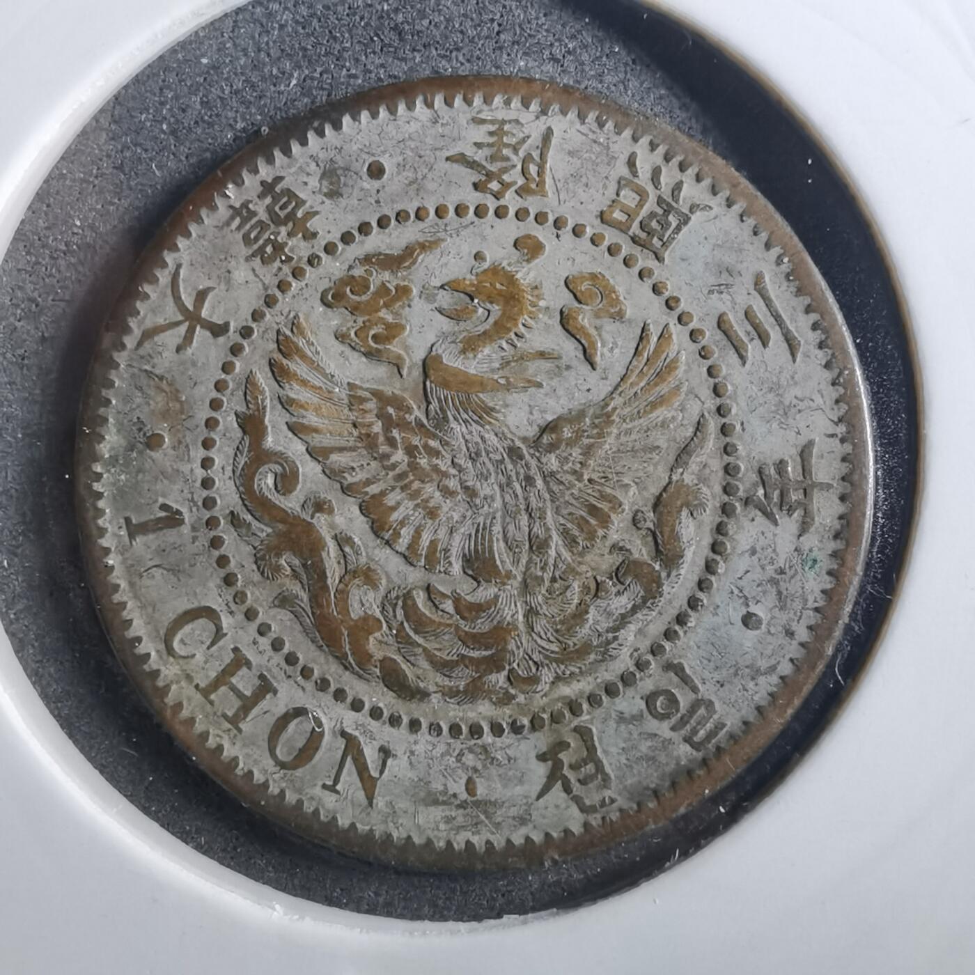 沼泽如烟--第899场