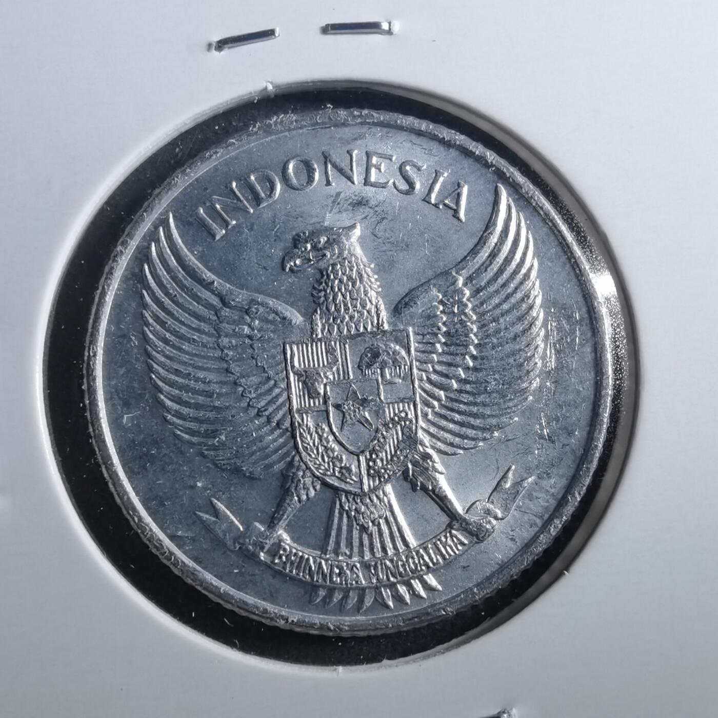 沼泽如烟--第899场