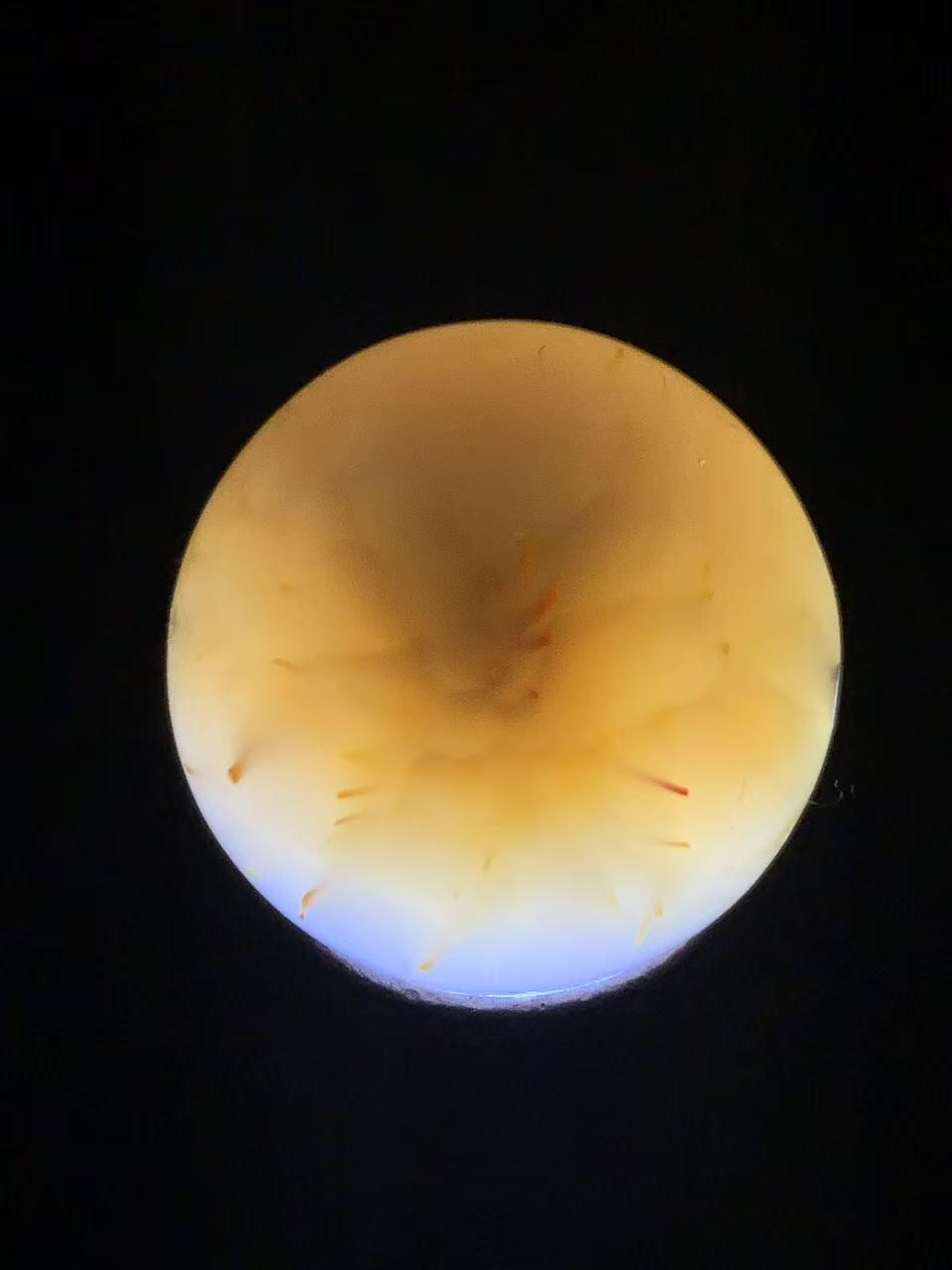 精美冻料草花纹高玉化战国红玛瑙圆珠一颗