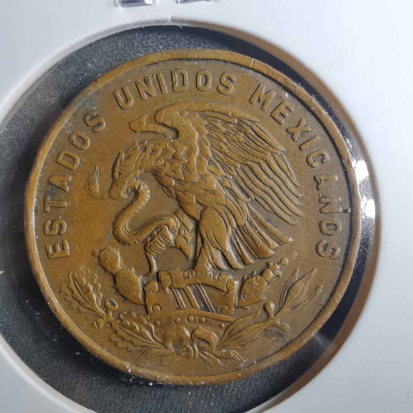 沼泽如烟--第899场 墨西哥1965年20分