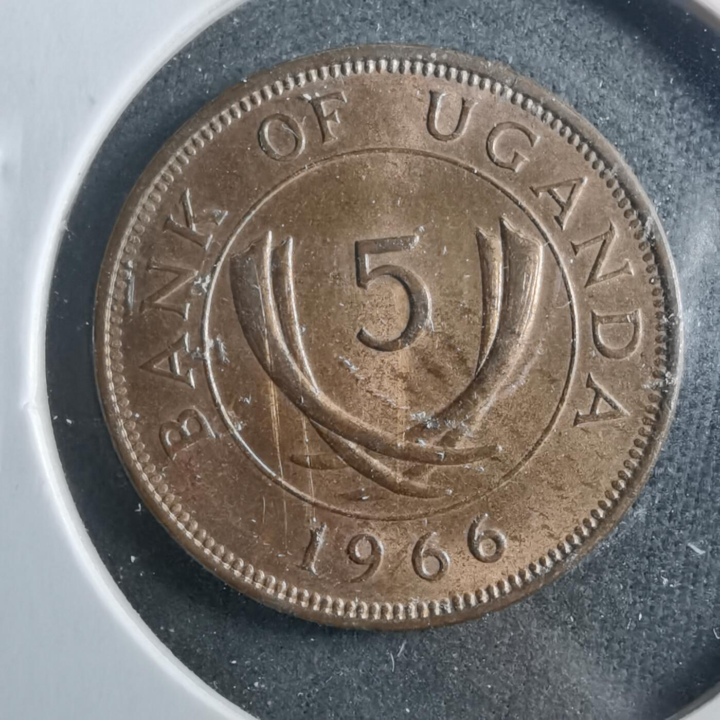 沼泽如烟--第899场