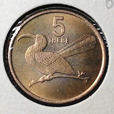 KK钱币收藏小铺  第368场  2月预留时间 周末发货 -  1976博茨瓦纳5西比 好品铜币