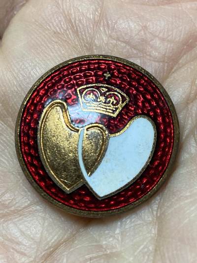 2025年第一百二十七场(总第一百五十三场）外国好品章牌、散币(免佣金) - 疑似银制–献血者胸针，重5.34克
