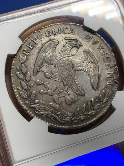 《竞宝斋》第437场 周日，周一2场连拍 （全场包邮） NGC AUD 墨西哥鹰洋 1881CA MG稀少年份厂别，羽毛清晰完整 五彩好状态