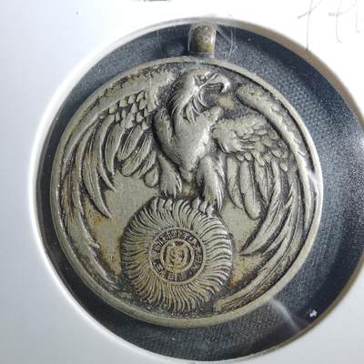 沼泽如烟--第899场 - 少年野球纪念章