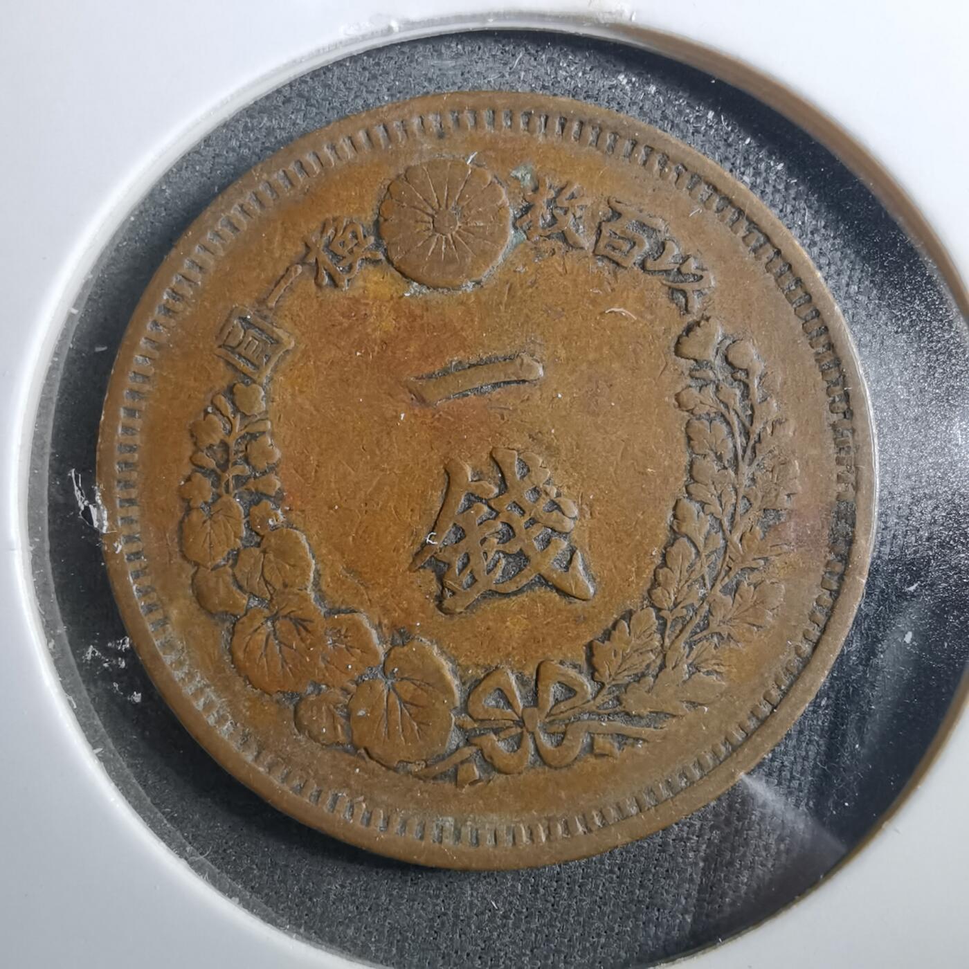 沼泽如烟--第899场