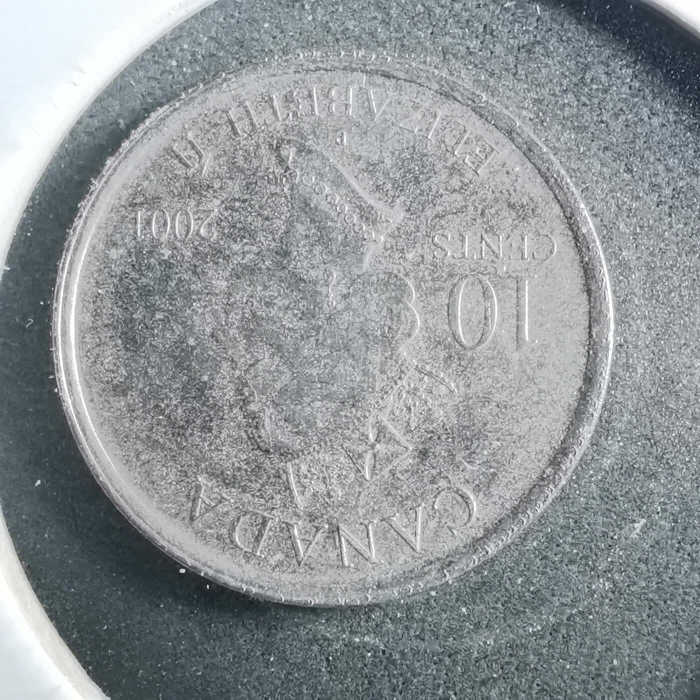 沼泽如烟--第899场