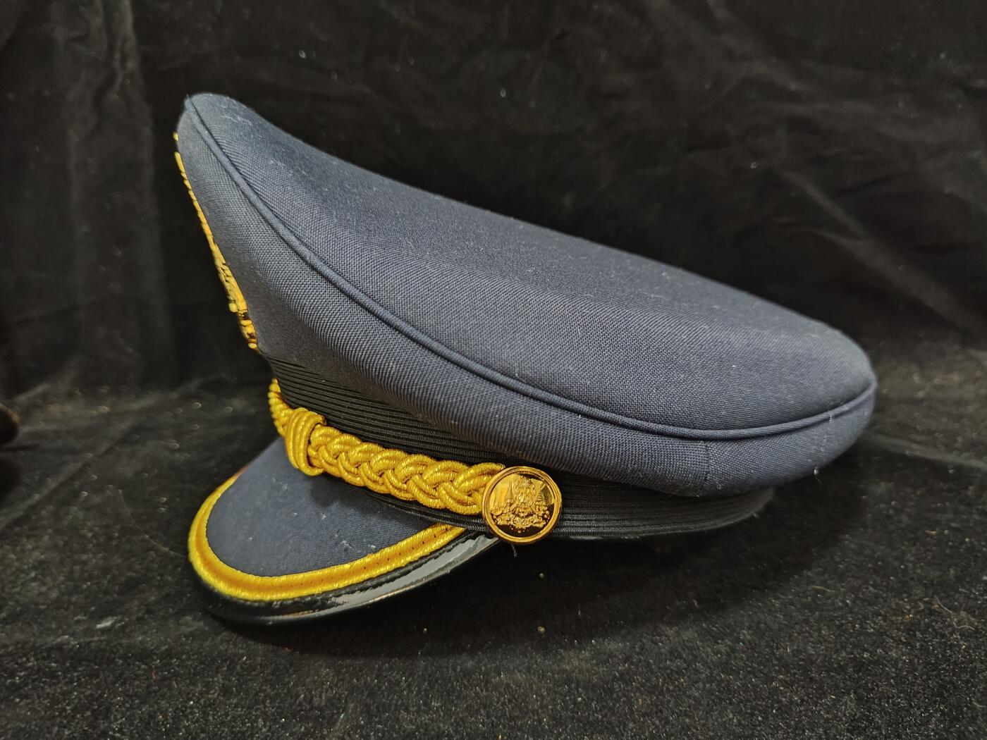 0元起拍勋章 第309期 咸鱼国勋章拍卖专场 11月12日（周三）下午6：00开始