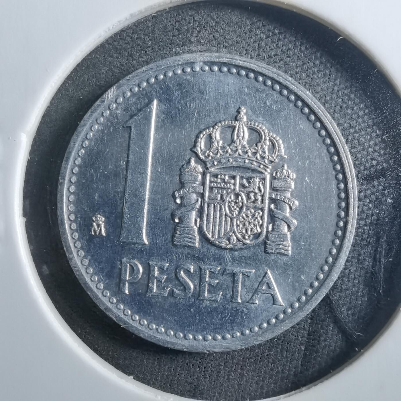 沼泽如烟--第899场