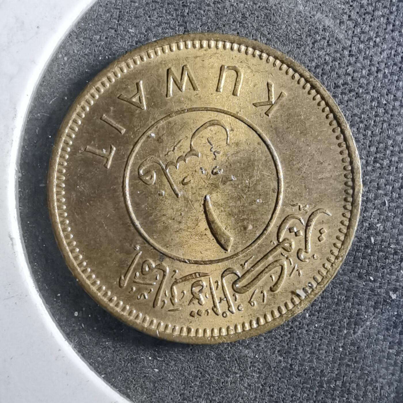 沼泽如烟--第899场