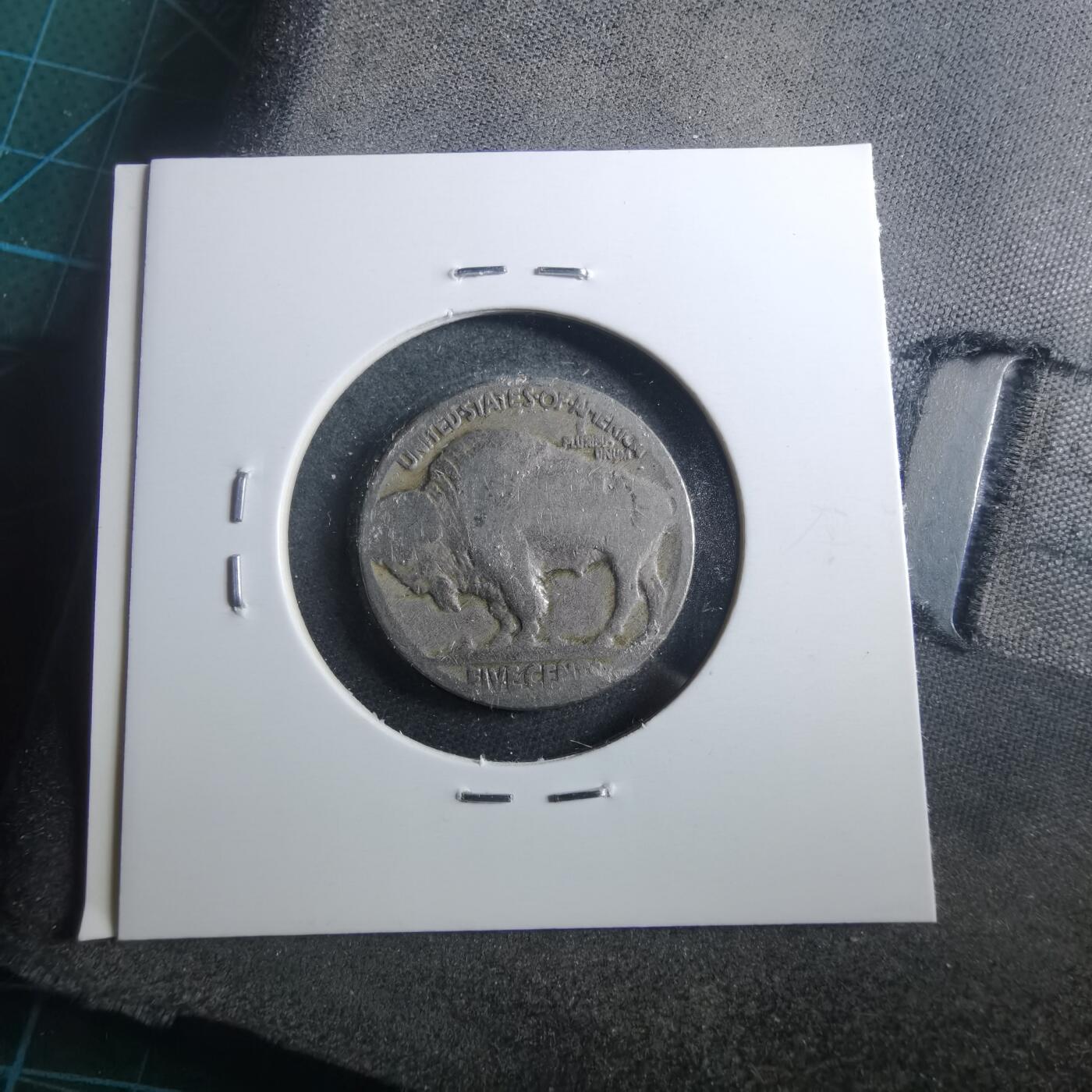 沼泽如烟--第899场 美国野牛五分