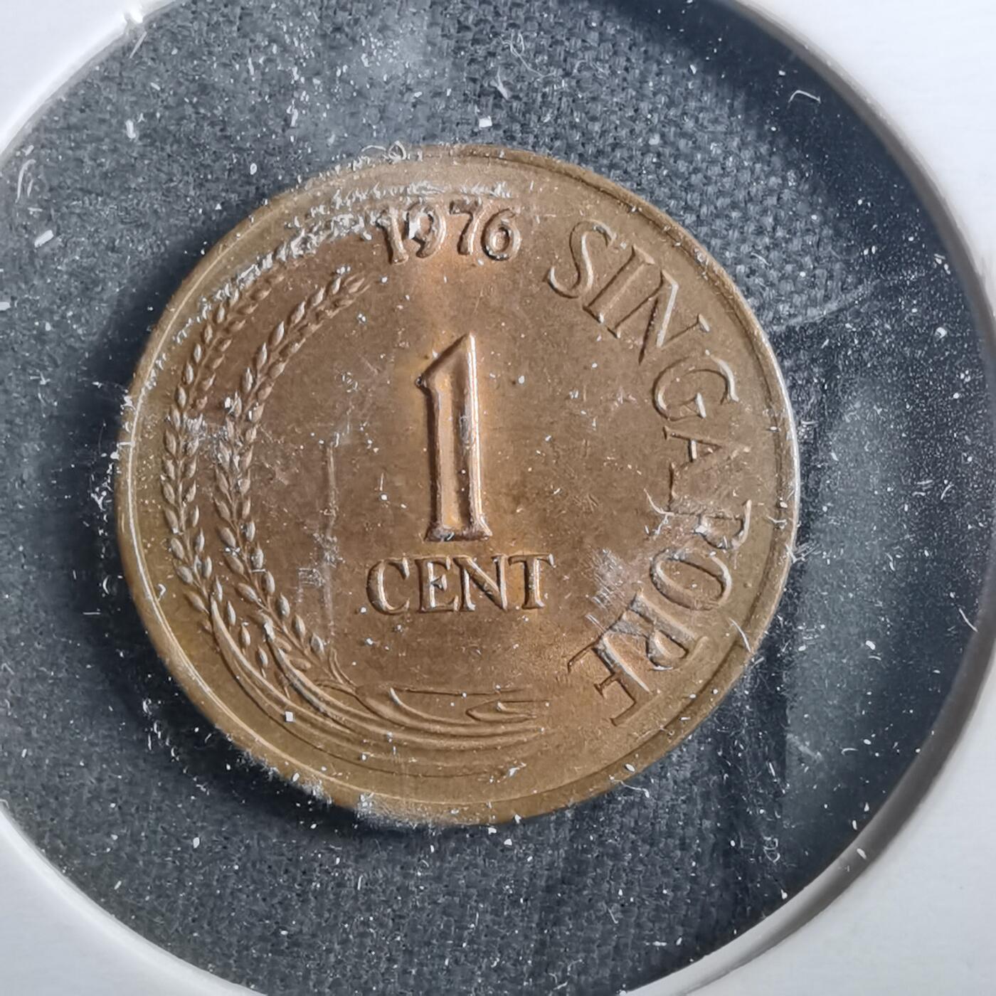 沼泽如烟--第899场