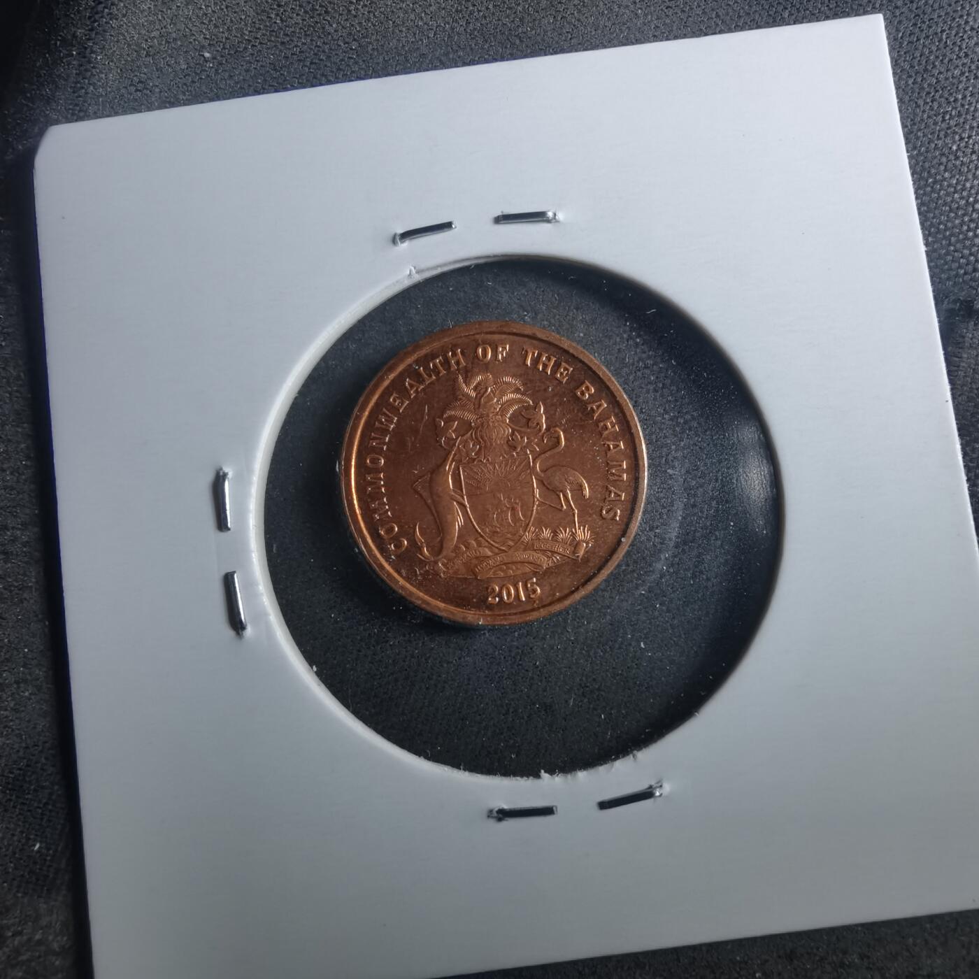 沼泽如烟--第899场