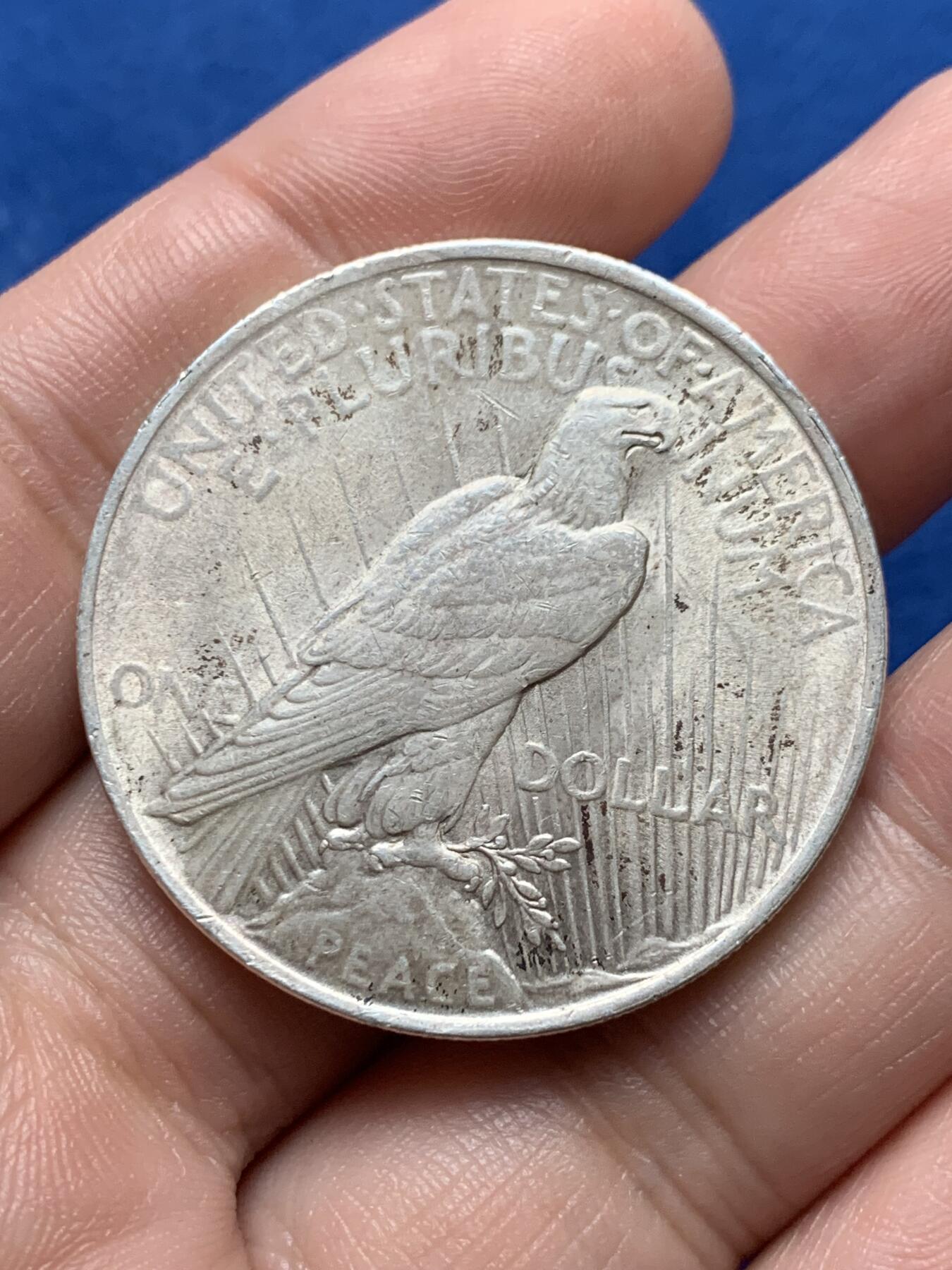 《竞宝斋》第437场 周日，周一2场连拍 （全场包邮） 美国1922年和平1美元银币