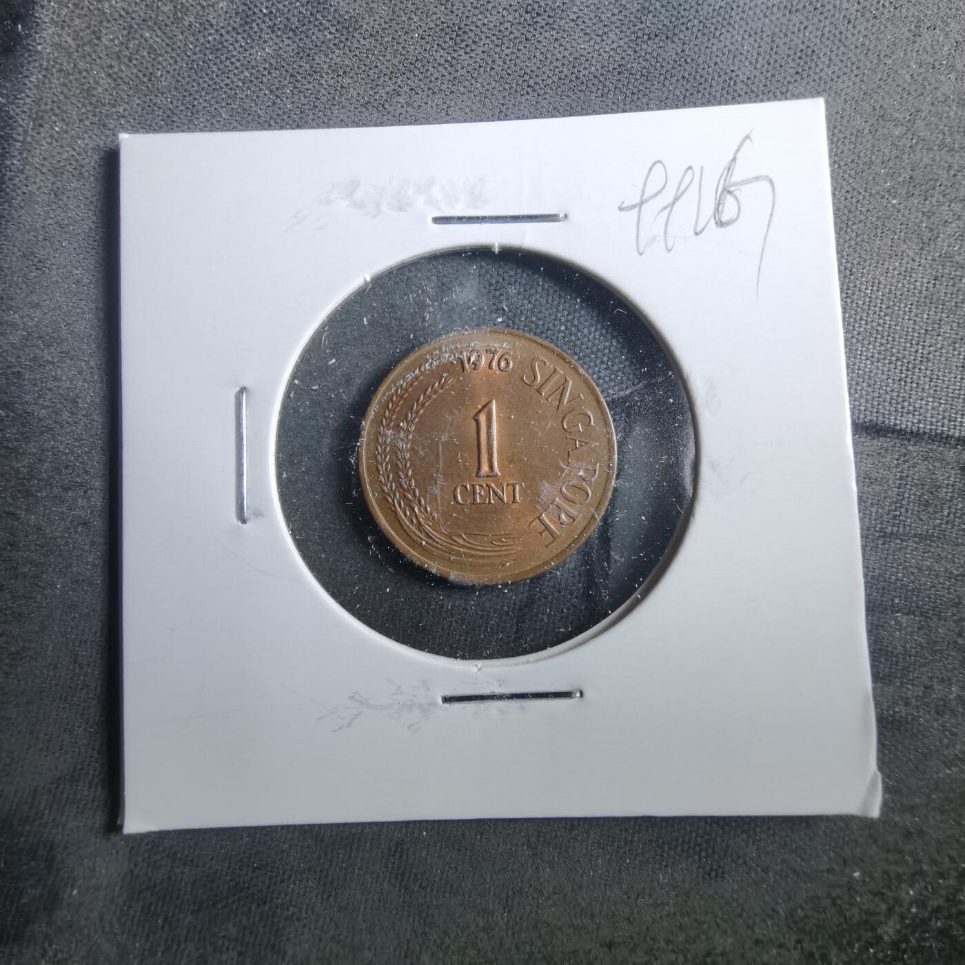 沼泽如烟--第899场