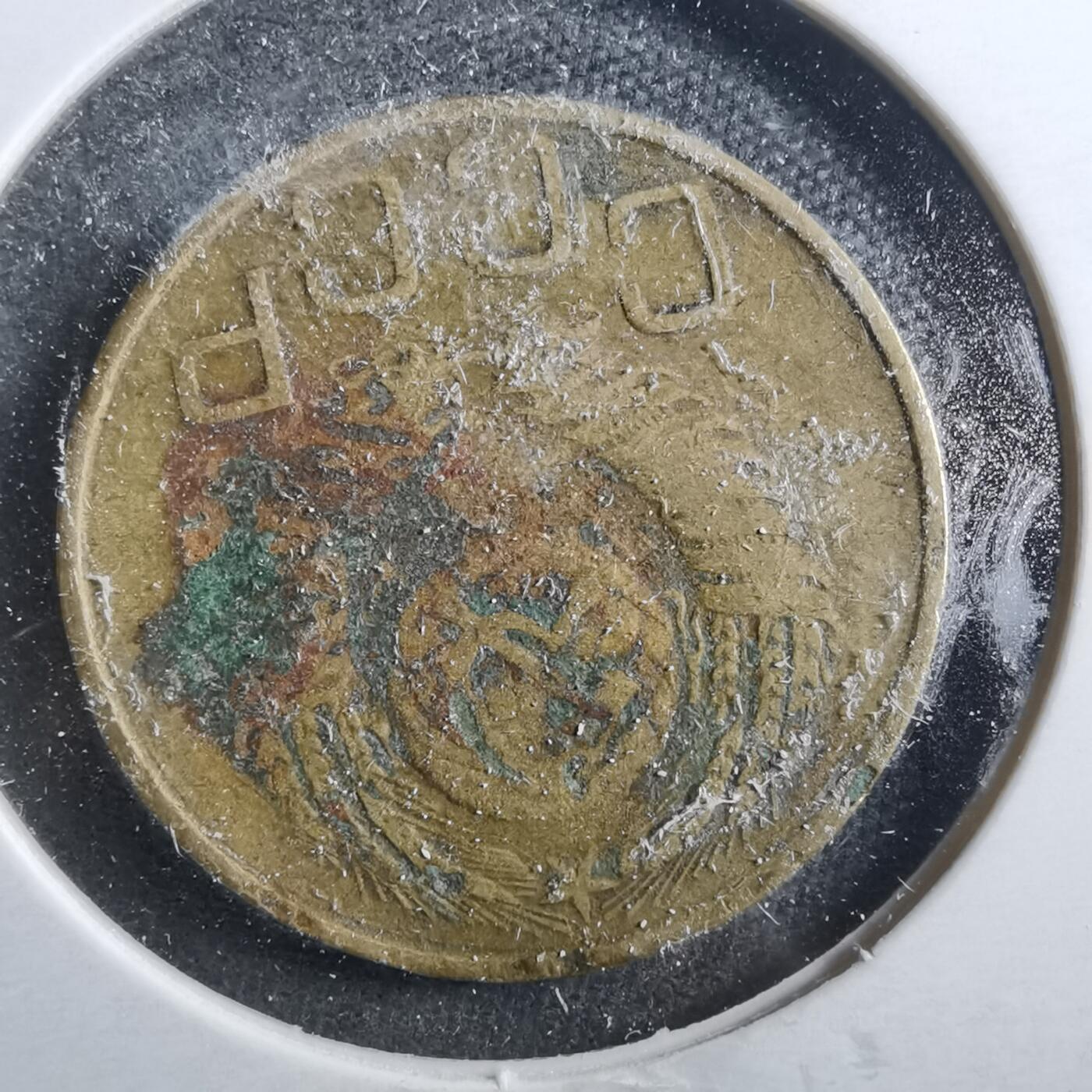 沼泽如烟--第899场