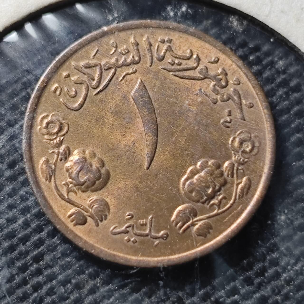 KK钱币收藏小铺  第368场  2月预留时间 周末发货  苏丹1米利姆铜币 好品