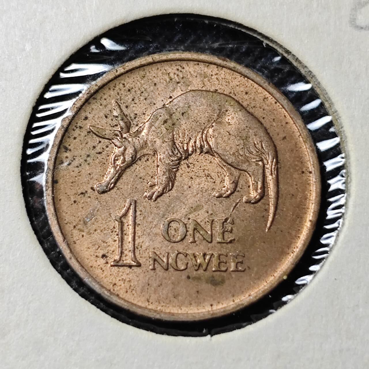 KK钱币收藏小铺  第368场  2月预留时间 周末发货  1969赞比亚