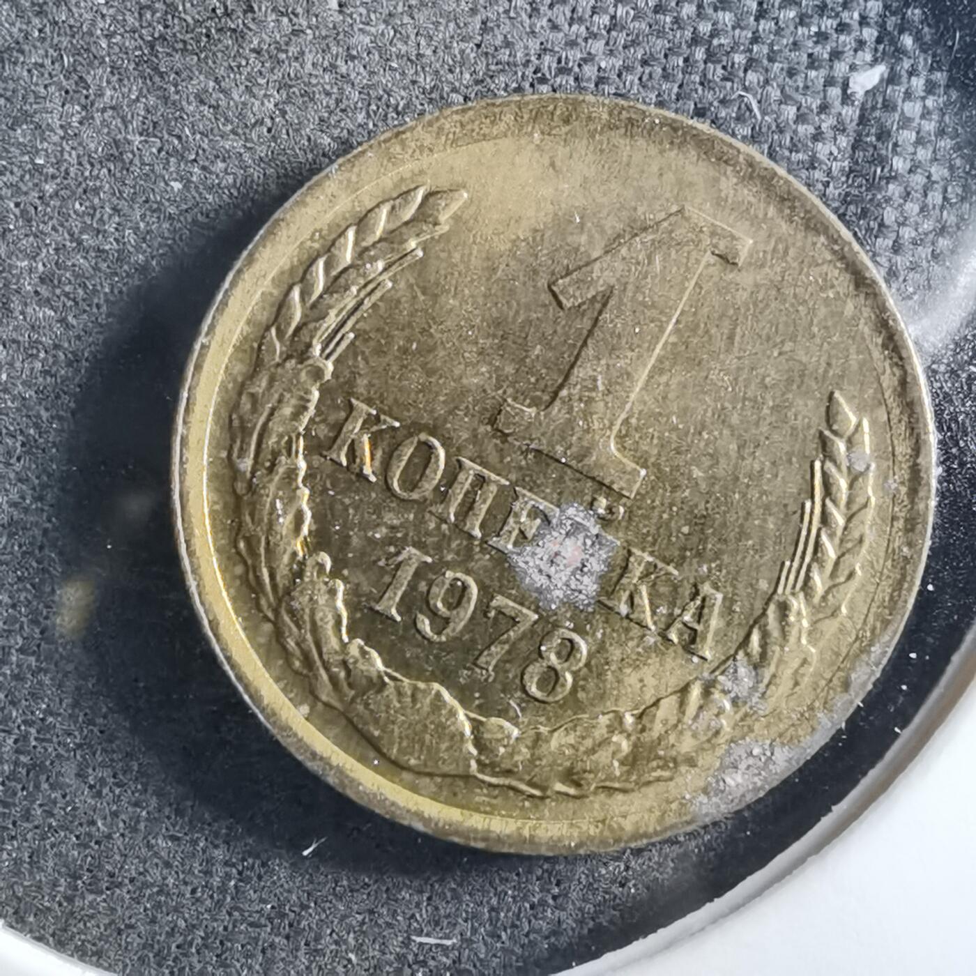 沼泽如烟--第899场