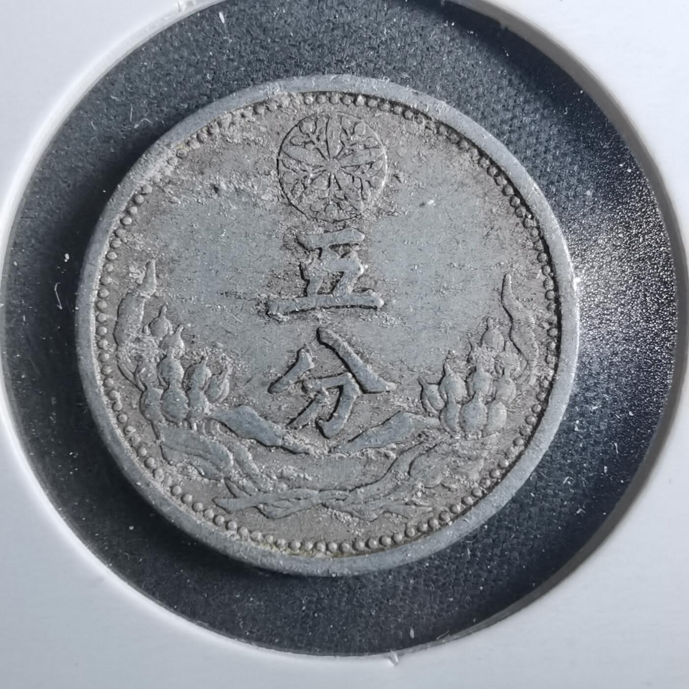 沼泽如烟--第899场