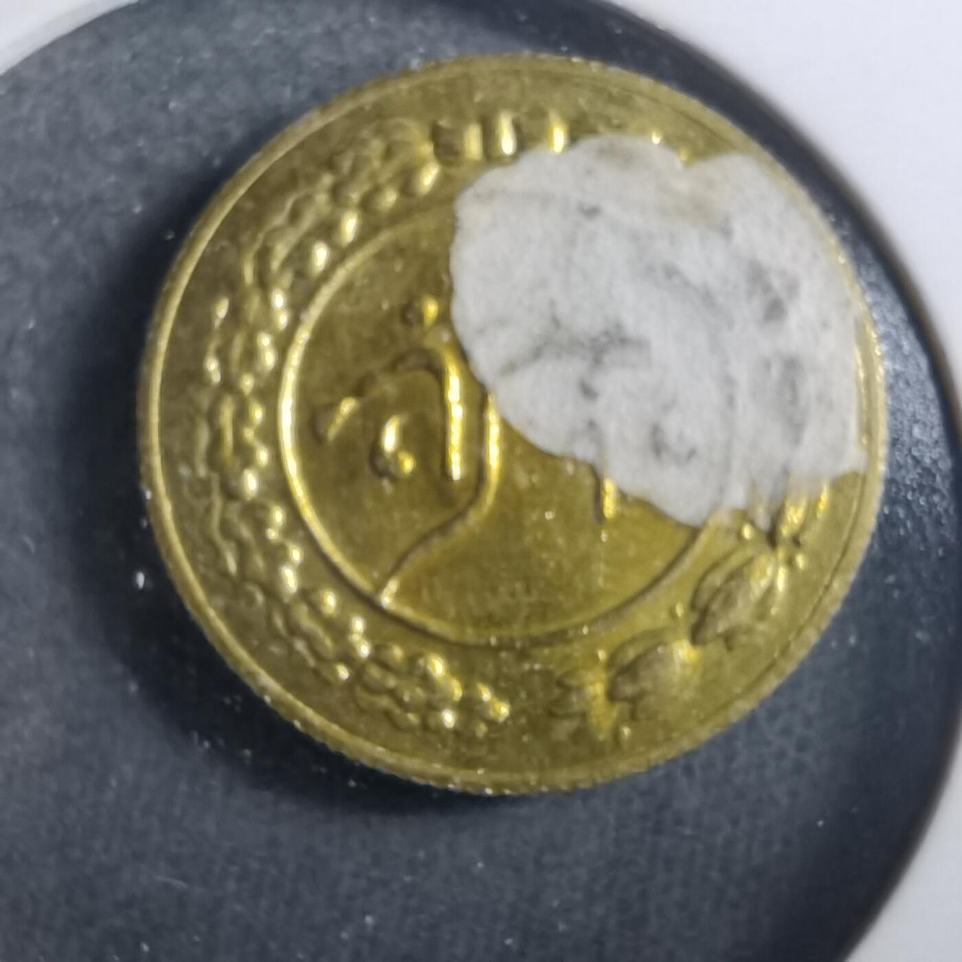 沼泽如烟--第899场