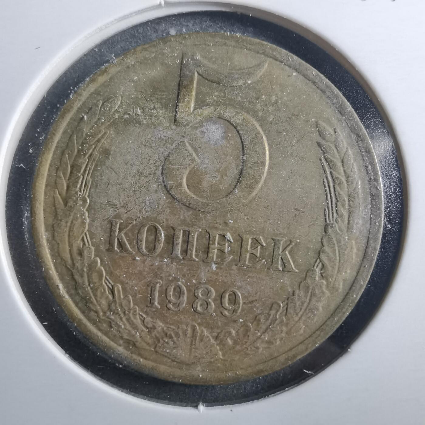 沼泽如烟--第899场