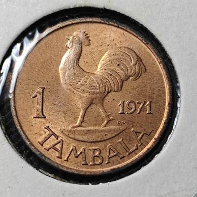 KK钱币收藏小铺  第368场  2月预留时间 周末发货 -  1971马拉维1坦巴拉 好品