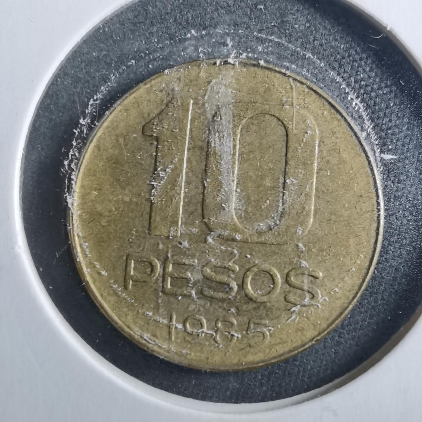 沼泽如烟--第899场