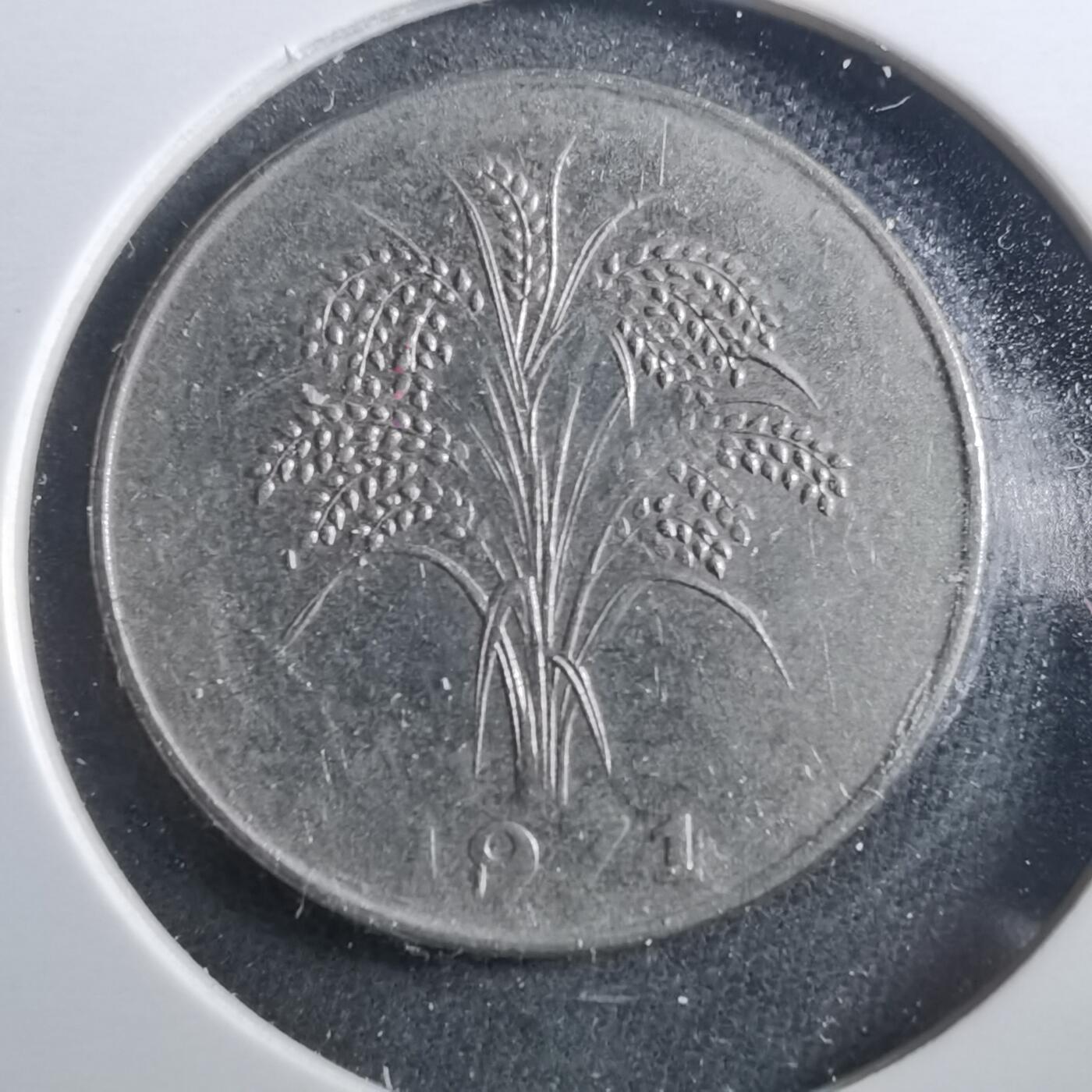 沼泽如烟--第899场 越南1971年1盾