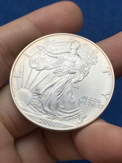 《竞宝斋》第437场 周日，周一2场连拍 （全场包邮） 美国2001年行走女神银币