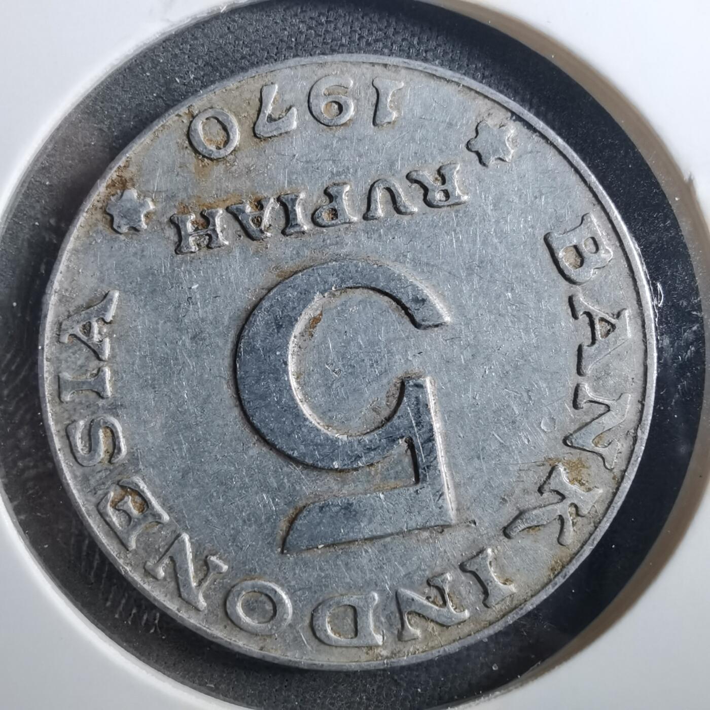 沼泽如烟--第899场