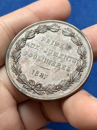 《竞宝斋》第437场 周日，周一2场连拍 （全场包邮） 法国1887年马术协会铜章 34.15克 41.7mm 丰饶角铜标