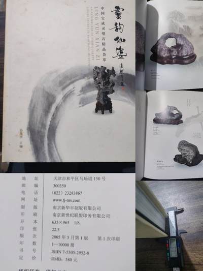 各大知名拍品公司，经典拍卖画册专场 - 灵韵仙姿，灵璧石，售价580元，超级重