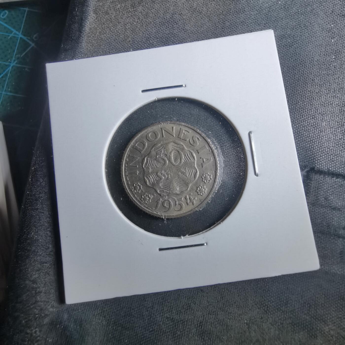 沼泽如烟--第899场