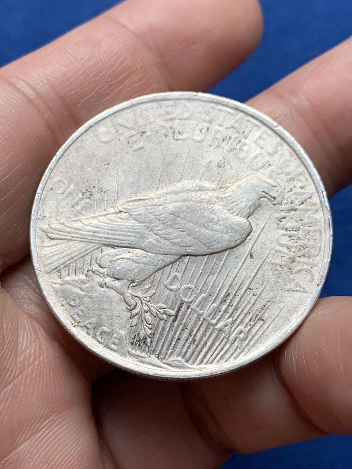 《竞宝斋》第437场 周日，周一2场连拍 （全场包邮） 美国1922年和平1美元银币