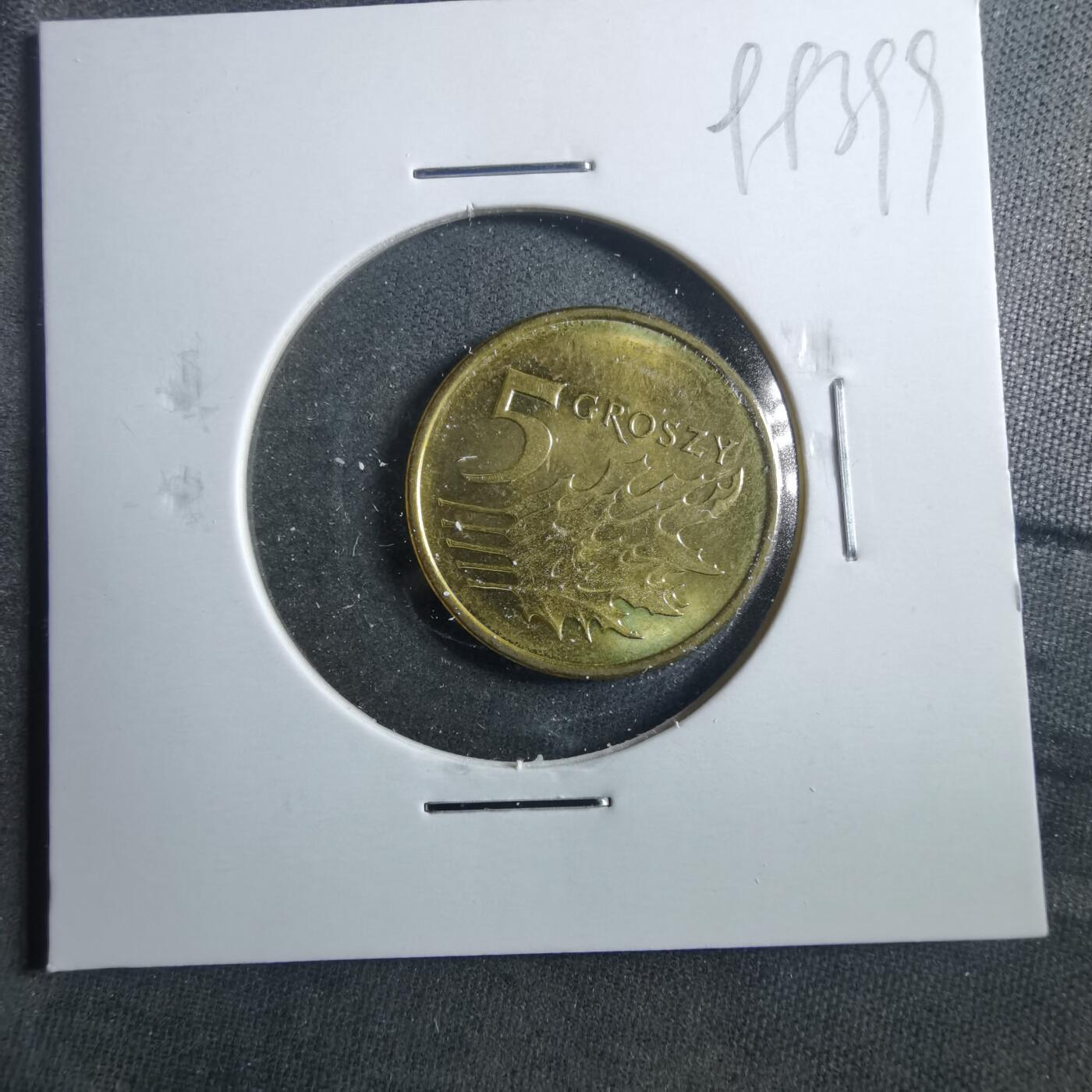 沼泽如烟--第899场 波兰2024年5格罗申