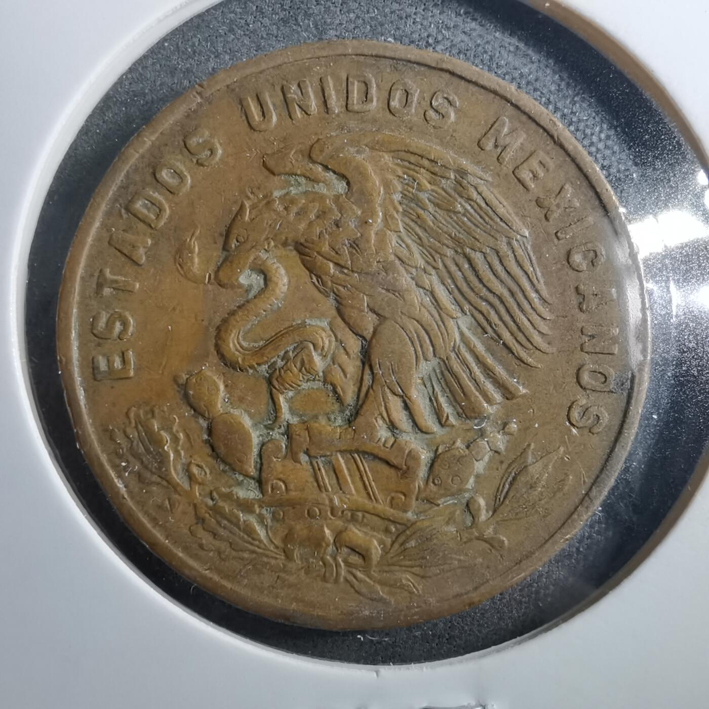 沼泽如烟--第899场 墨西哥1965年20分