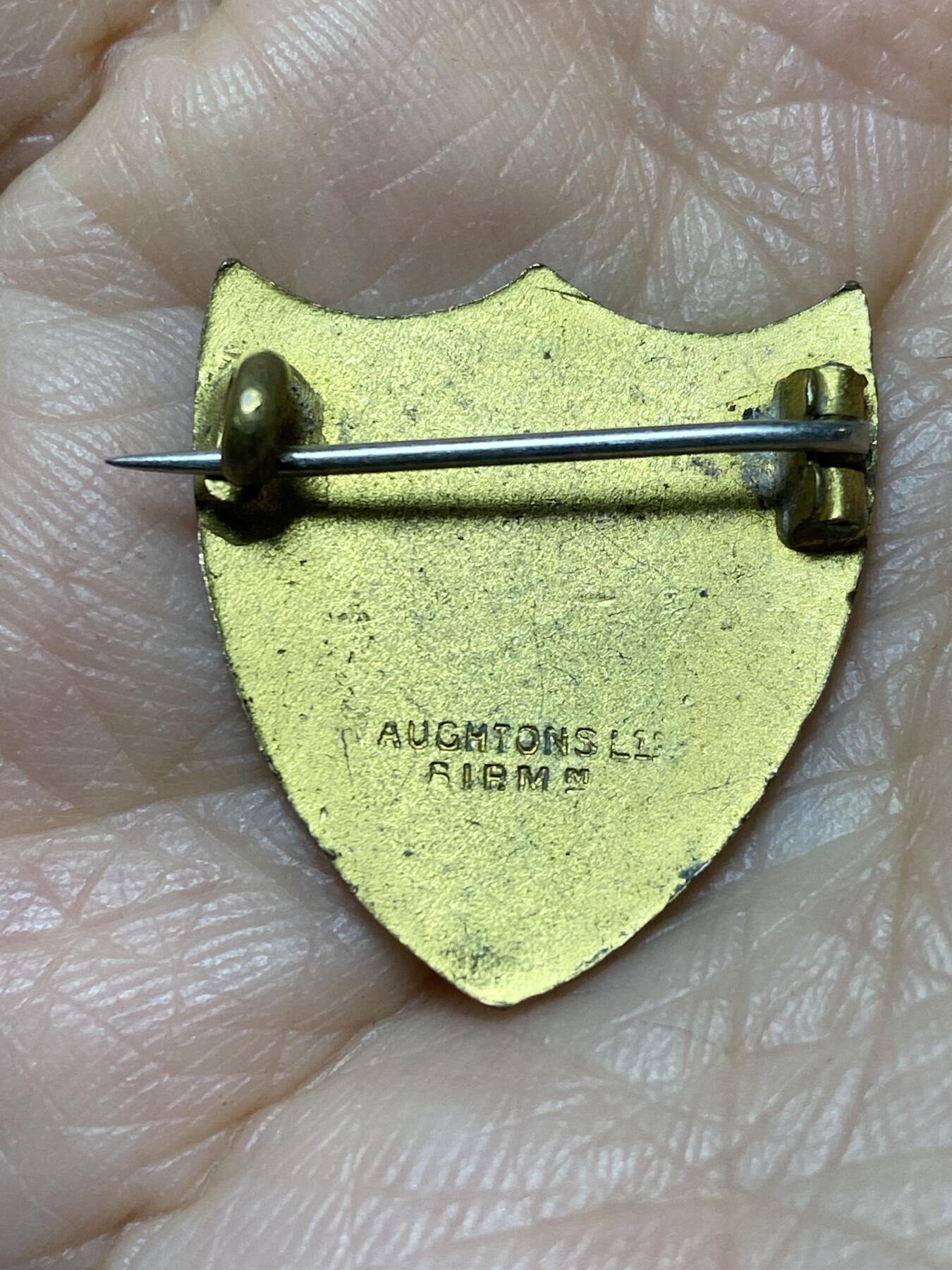 2025年第一百二十七场(总第一百五十三场）外国好品章牌、散币(免佣金) 英国🇬🇧英格兰胸章，重4.5克