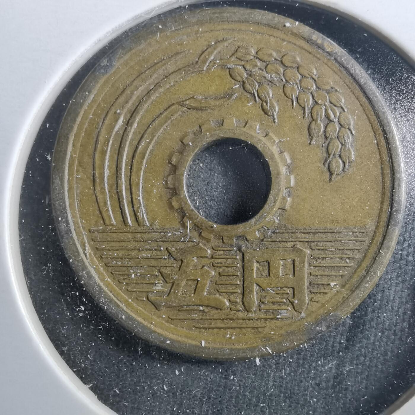 沼泽如烟--第899场 昭和二十五年繁体國五元