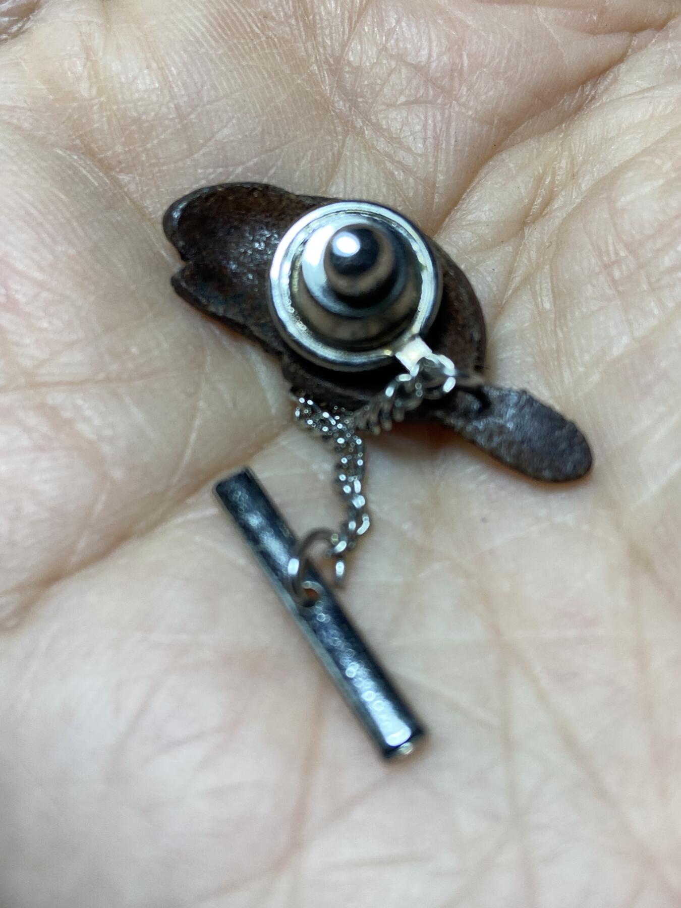 2025年第一百二十七场(总第一百五十三场）外国好品章牌、散币(免佣金) 河狸胸针，重2.52克