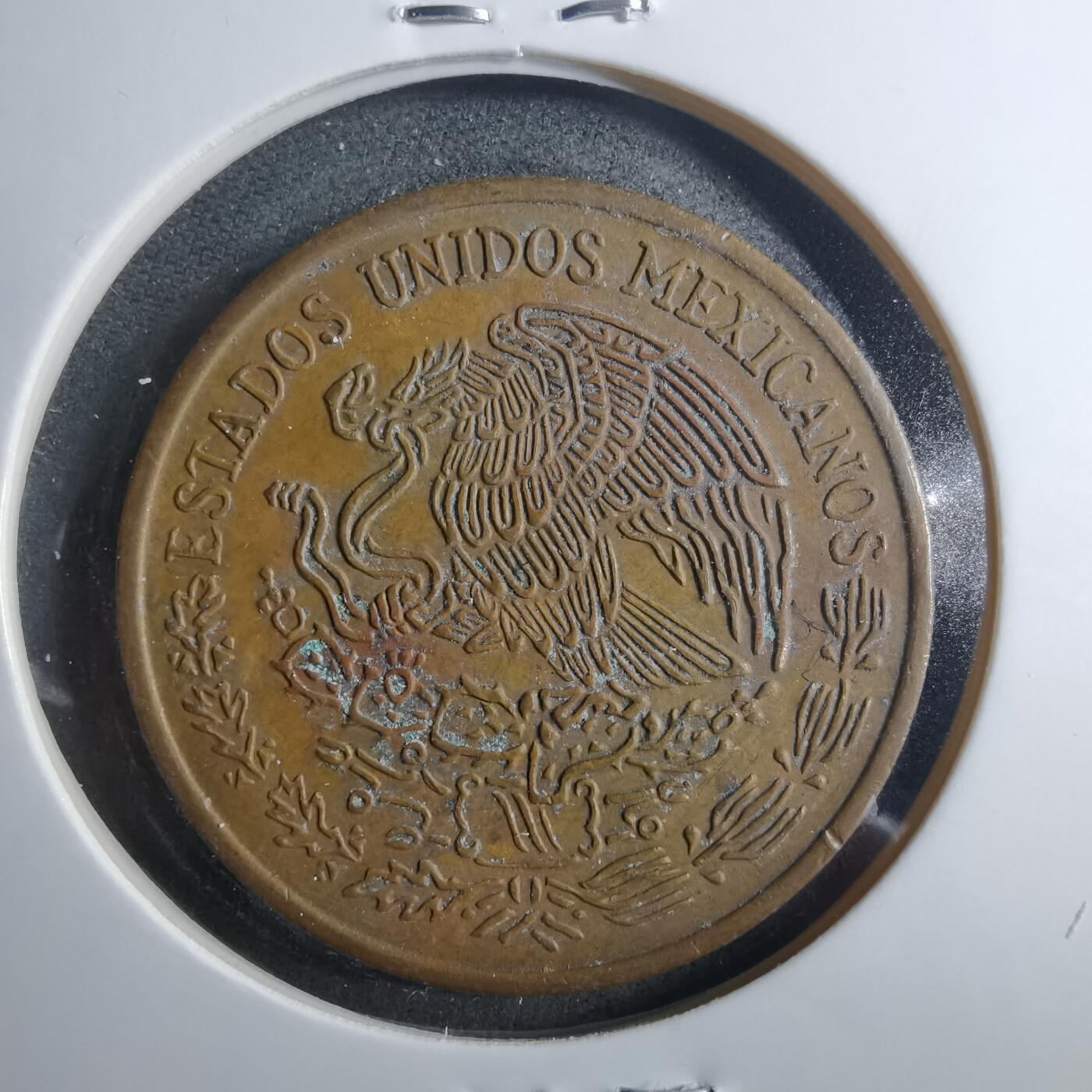 沼泽如烟--第899场 墨西哥1973年20分